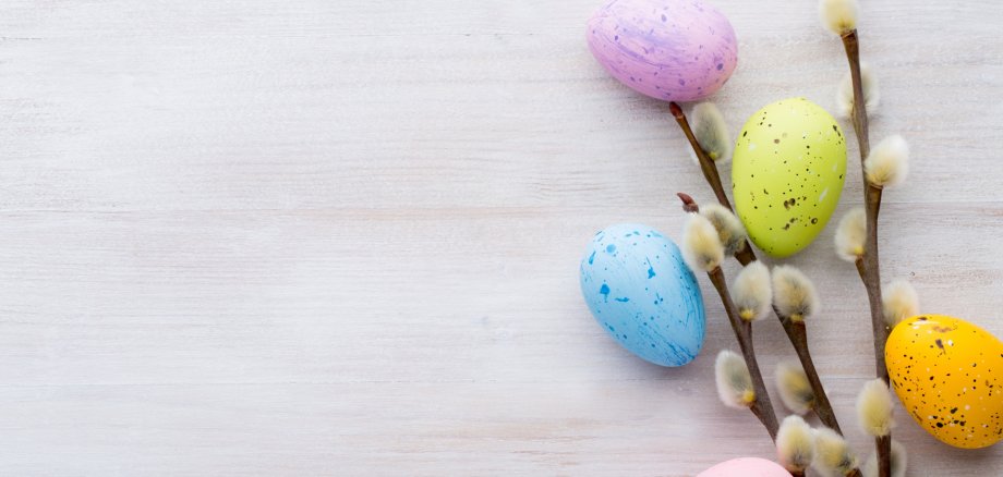 Symbolic Easter decoration with willow catkins and five eggs dyed in different colours.