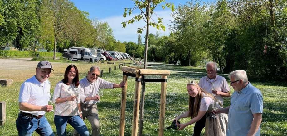 Der neue Baum auf dem Wohnmobilstellplatz wird von Gärtnerkönigin Annika Maurer ordnungsgemäß mit Wein angegossen. Die Tradition beobachten Gästeführer Detlef Hildebrand, TI-Leiterin Christina Richard, Tourismus-Referent Walter Vierrether, Stellplatz-Kontrolleur Dieter Franz und zweiter Bürgermeister Manfred Freitag.