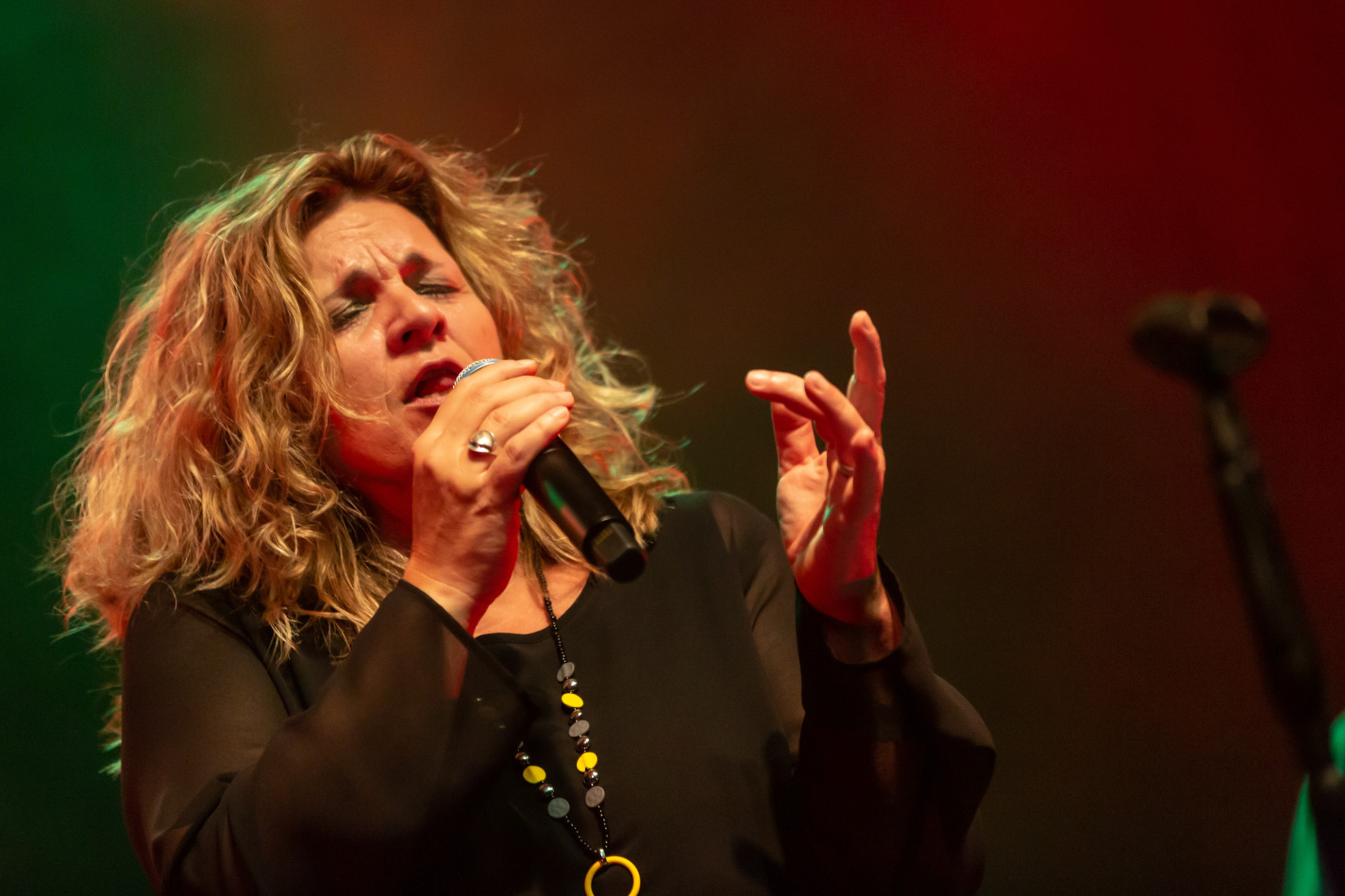 Linda Schmelzer & The Allstars Linda Schmelzer sings into a microphone.