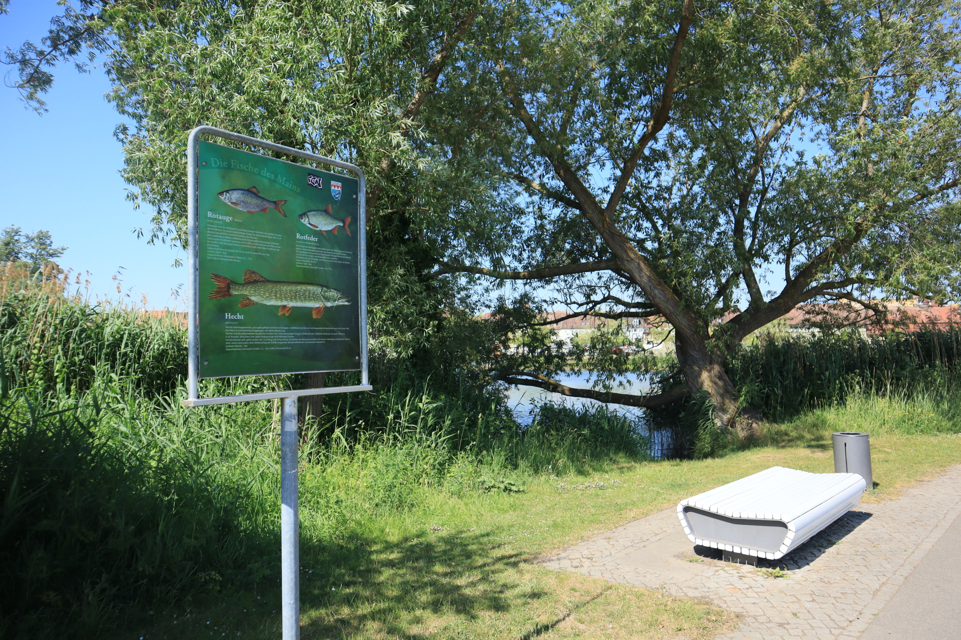 Board with information about the fish of the Main