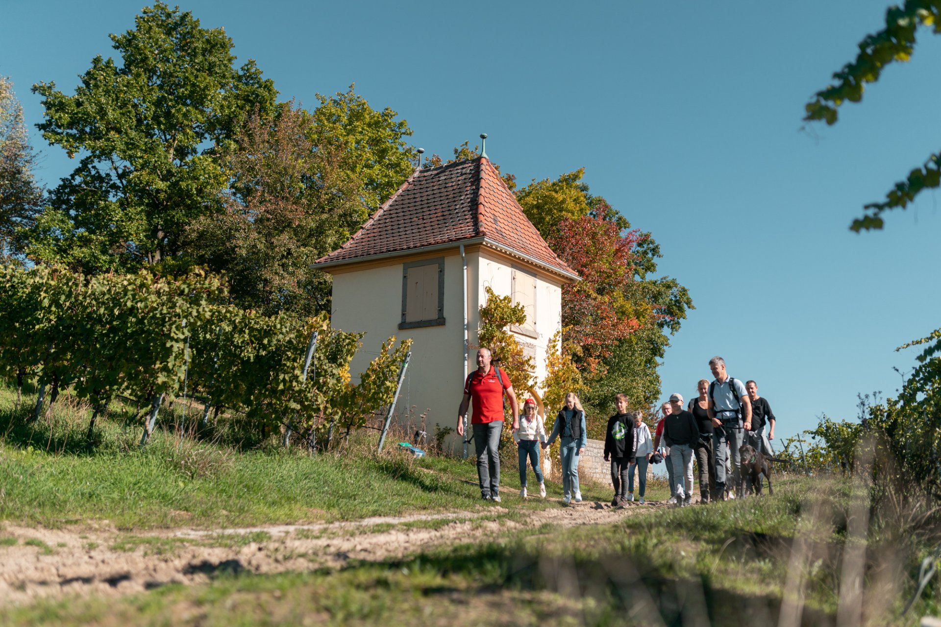 Hiking-Wine Trail Group of hikers walking along the wine trail in the vineyards