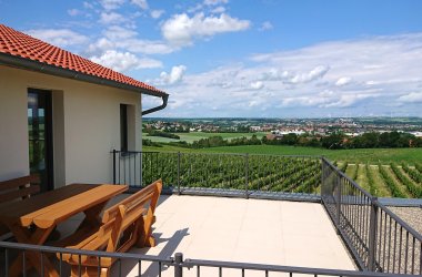 The accommodation called Weinbergshof Rickel, which is located next to the vineyards