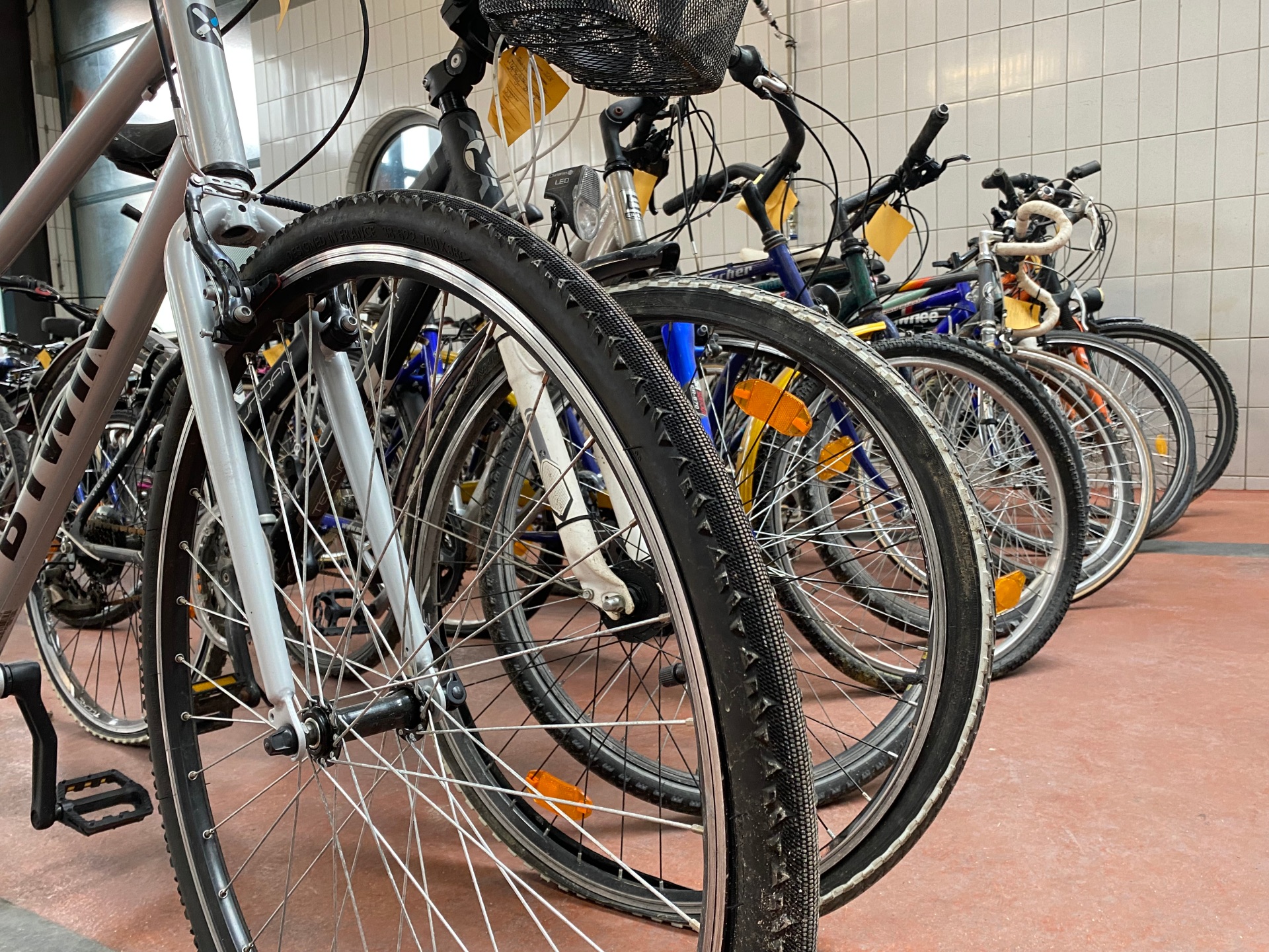 Fahrradversteigerung Verschiedene Damen- und Herrenfahrräder stehen hintereinander in der Feuerwehrhalle.