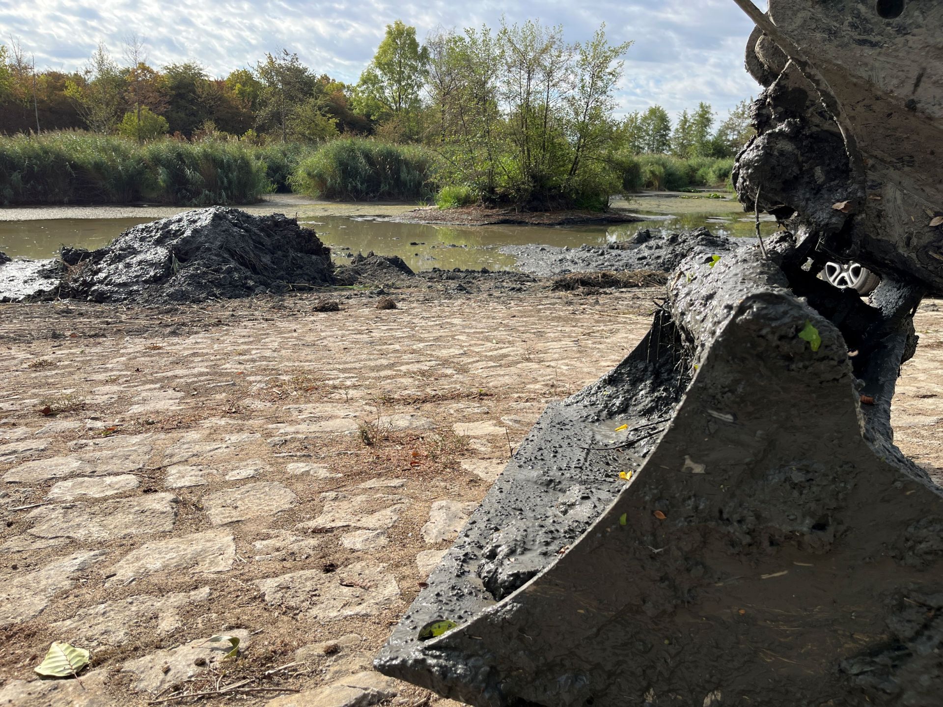 Intensiver Hochwasserschutz Mit schwerem Gerät sind die Mitarbeiter des Bauhofes gerade dabei, das Regenrückhaltebecken im Gewerbegebiet Schwarzacher Straße zu entlanden.