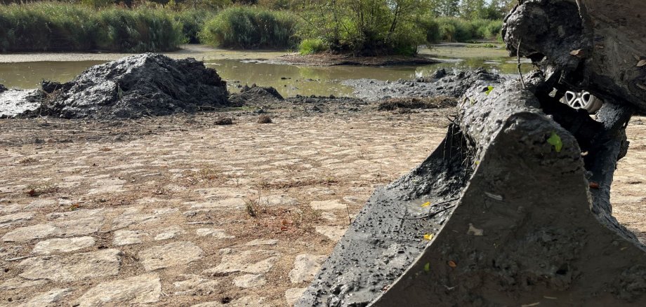 Intensiver Hochwasserschutz Mit schwerem Gerät sind die Mitarbeiter des Bauhofes gerade dabei, das Regenrückhaltebecken im Gewerbegebiet Schwarzacher Straße zu entlanden.