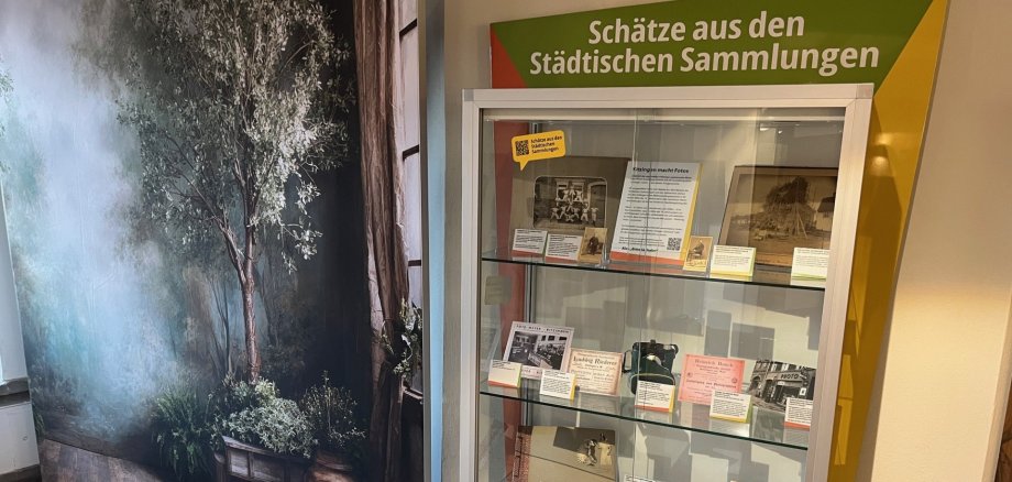 Ausstellungsvitrine im Kitzinger Rathaus