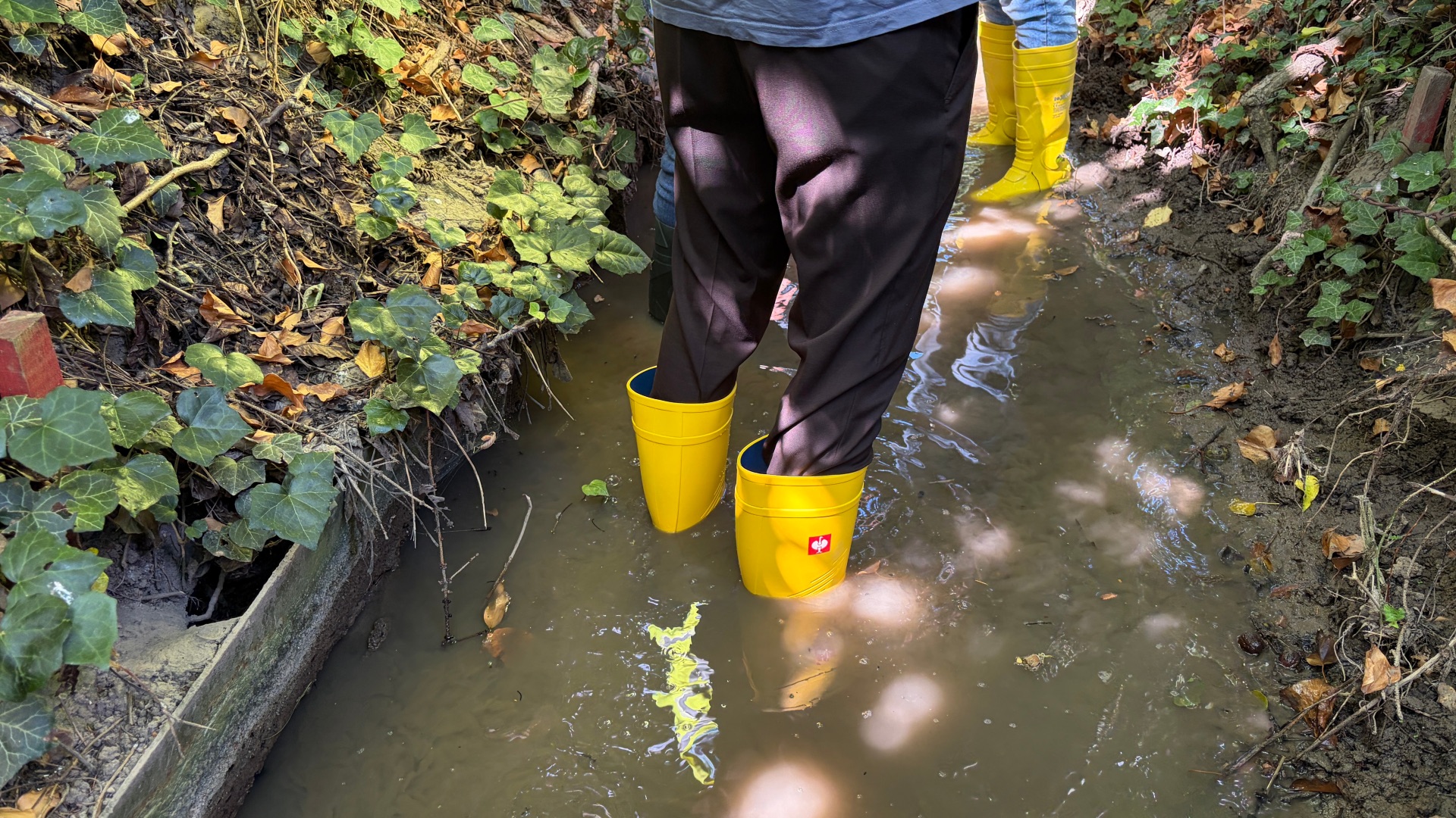 Bei einer Rundfahrt wurden die Bachläufe im Stadtgebiet abgegangen und untersucht.