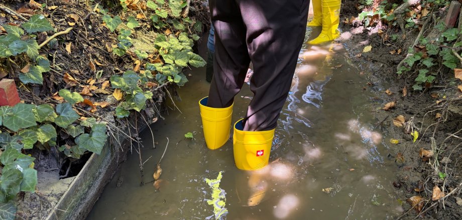 Bei einer Rundfahrt wurden die Bachläufe im Stadtgebiet abgegangen und untersucht.