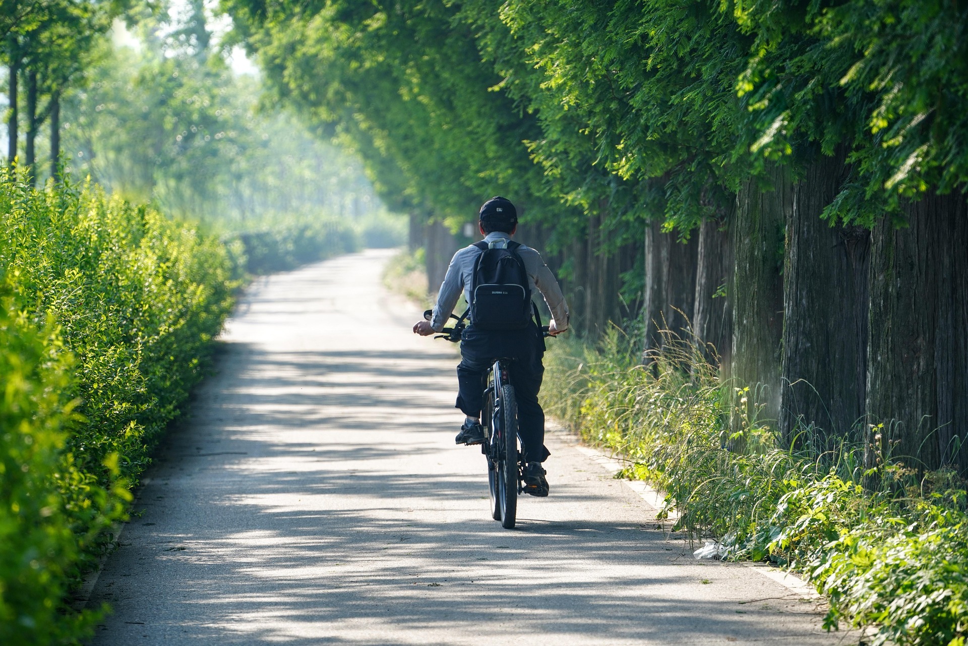 Radtour für den Frieden Eine Gruppe aus Bad Mergentheim radelt am Samstag bis nach Kitzingen