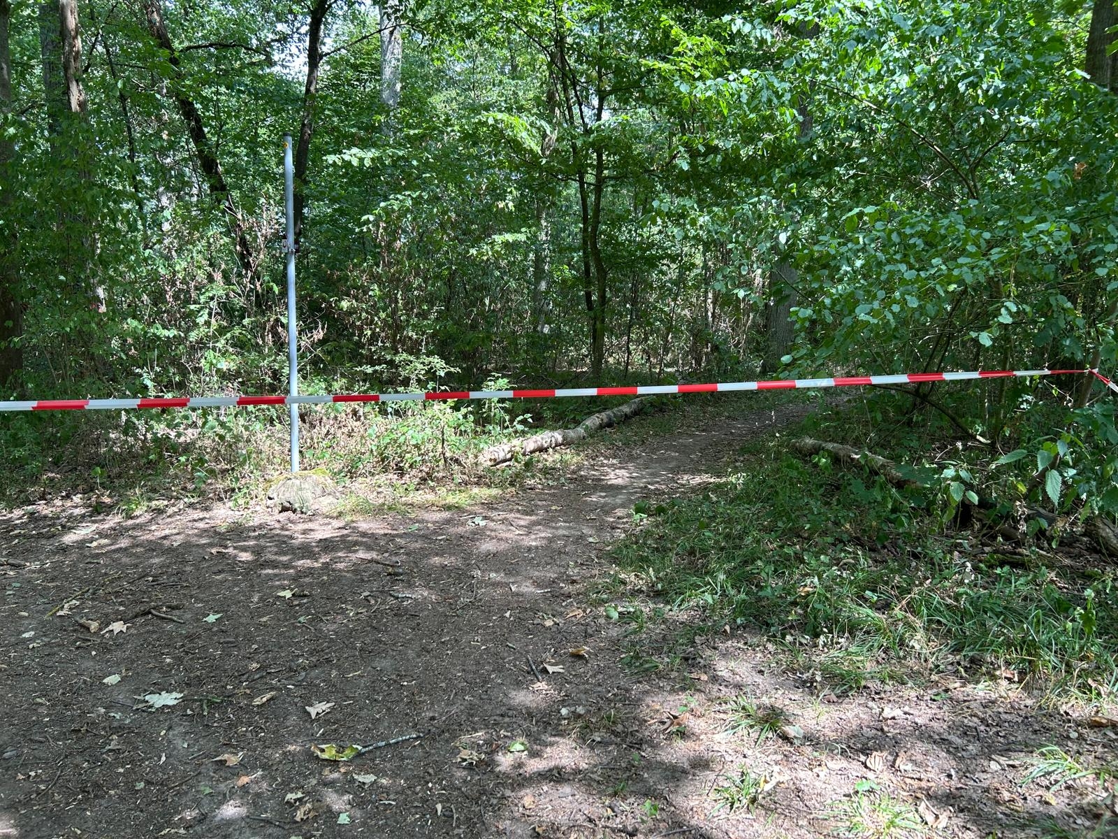 Sperrung Traumrunde Die Traumrunde Kitzingen-Sulzfeld muss vorerst für Wanderer gesperrt werden.