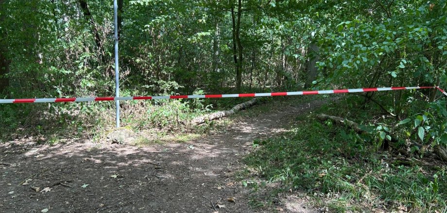 Sperrung Traumrunde Die Traumrunde Kitzingen-Sulzfeld muss vorerst für Wanderer gesperrt werden.