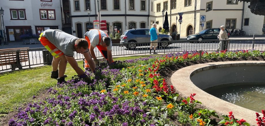Wenn die Stadt aufblüht Die Stadtgärtner Niklas Pobel und Stefan Maurer bringen den Sommerflor am Platz der Partnerstädte ein.