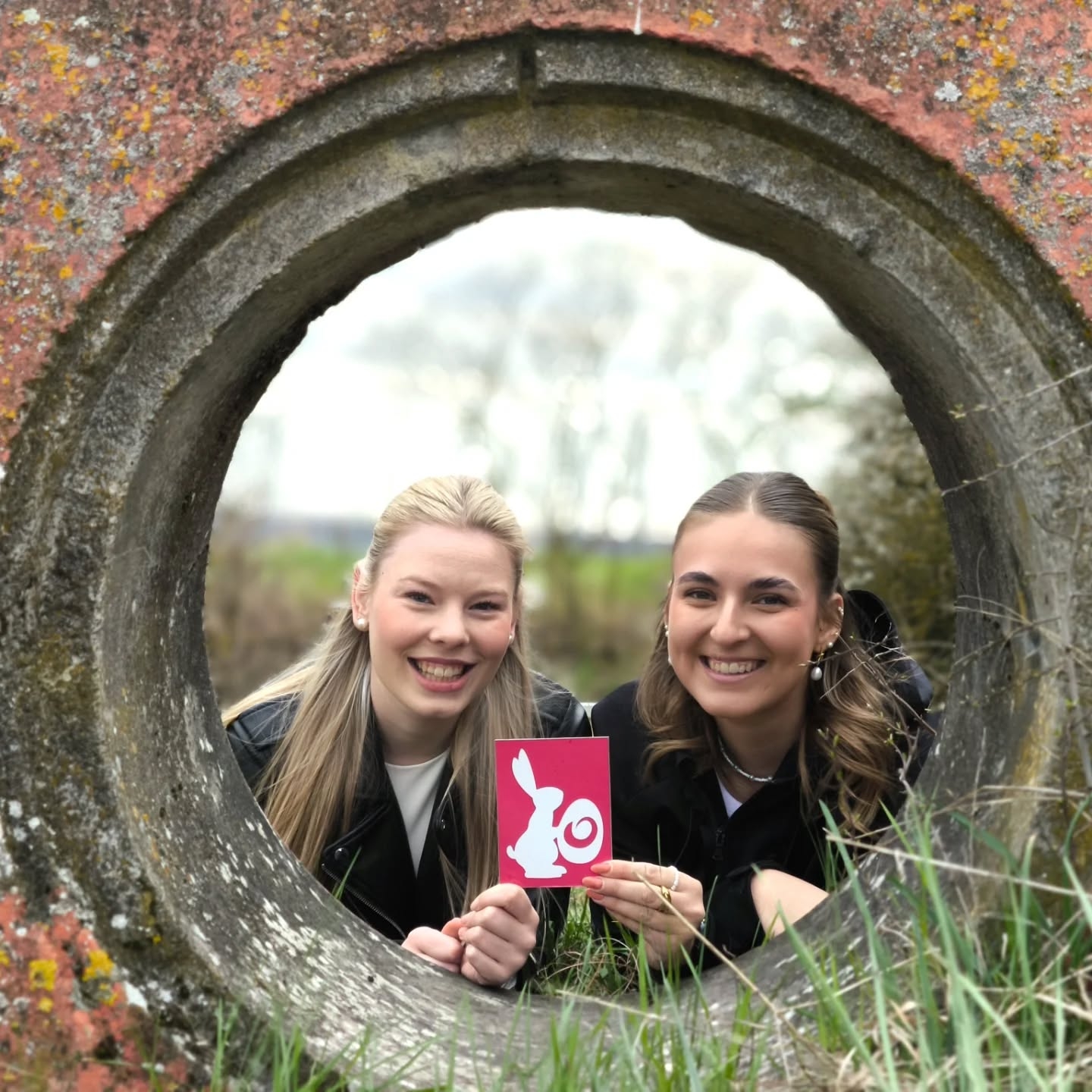 Osterhase auf der TraumRunde