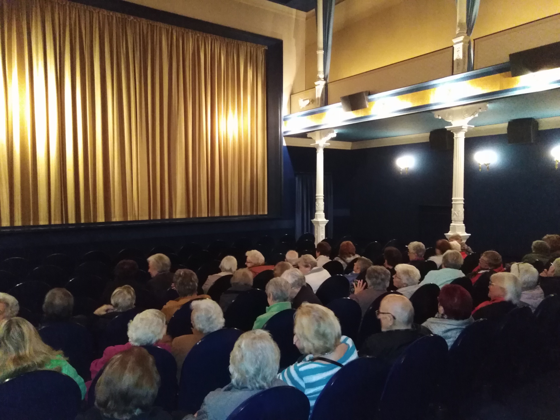 Blauer Saal im Roxy Viele Personen sitzen auf den blauen Stühlen im Roxy Kino und blicken nach vorne. Die Leinwand ist hinter einem goldenen Vorhang verborgen.