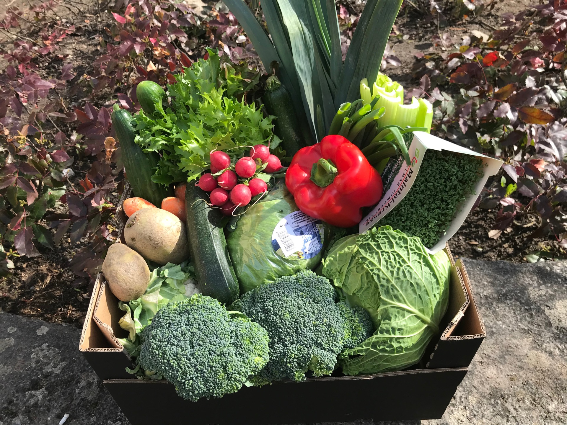 Gemüsekiste mit Kohl, Salat, Paprika, Radieschen, Kartoffeln, Brokkoli, Lauch, Karotten und Kresse.