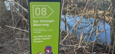 Eine Info-Stele auf dem Kitzinger Biberlehrpfad.