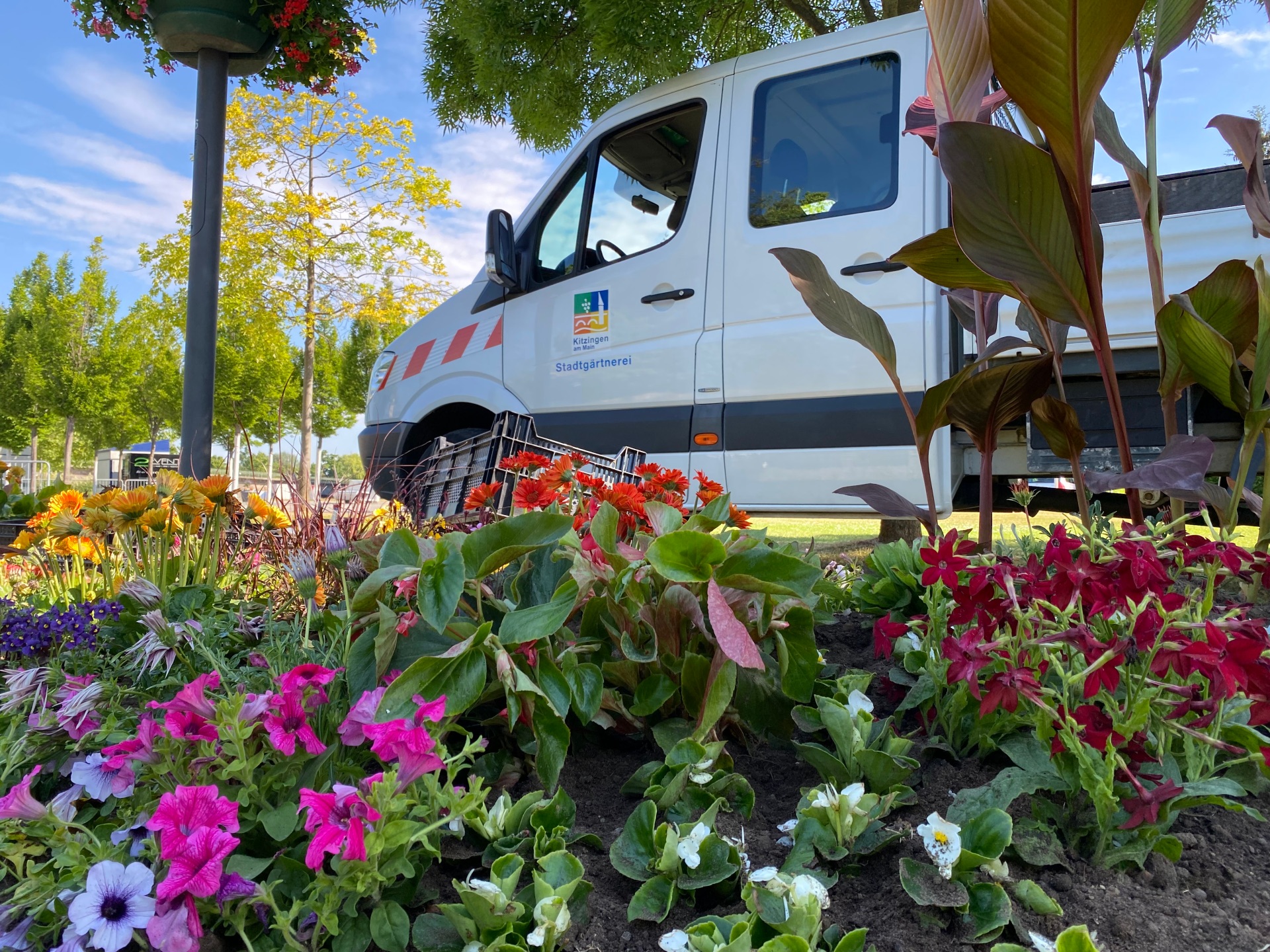Stadtgärtner Das Pritschenfahrzeug der Stadtgärtner steht hinter einem farbenfrohen Blumenbeet am Stadtbalkon.