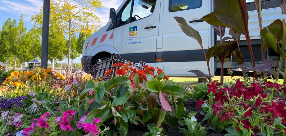 Das Pritschenfahrzeug der Stadtgärtner steht hinter einem farbenfrohen Blumenbeet am Stadtbalkon.