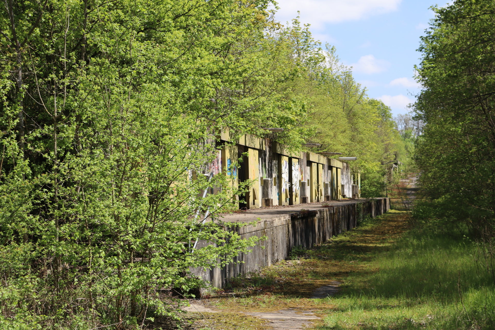 Blick auf den Lostplace von der Traumrunde Kitzingen-Sulzfeld