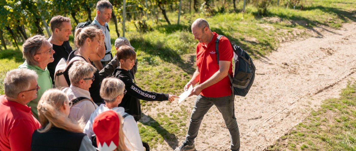 Gästeführer erzählt zur Weingeschichte in den Weinbergen 