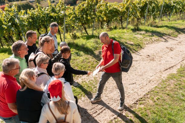 Ein Mann zeigt einer Gruppe den Weinwanderweg in Kitzingen